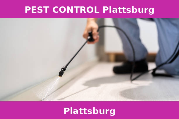 PEST CONTROL Plattsburg